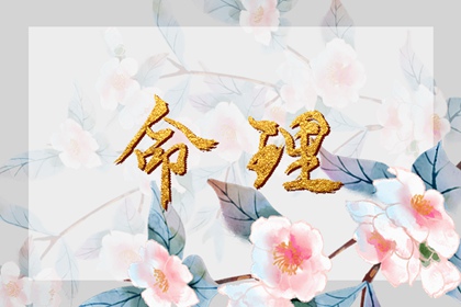 中华万年历黄历日历_日历202日历黄道吉日_日历表2026日历全年表